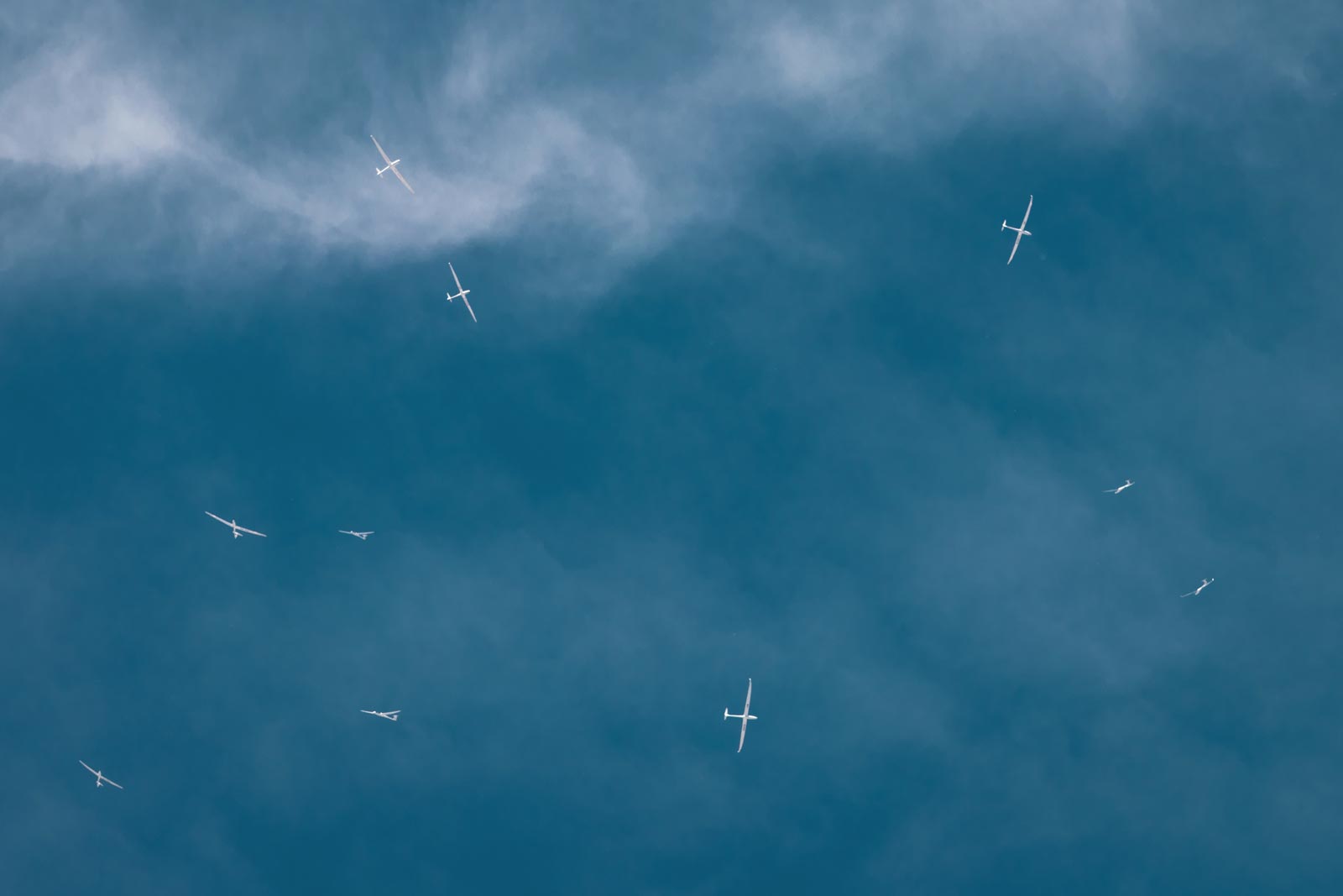 white gliders in flight against a blue sky